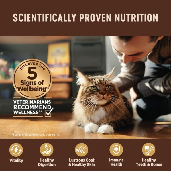 Wellness CORE+ Digestive Health Grain-Free Natural Wet Cat Food, Sensitive Stomach, Easily Digestible (Salmon/Whitefish Variety Pack, 3 Ounce Can, 12 Pack) - Image 4