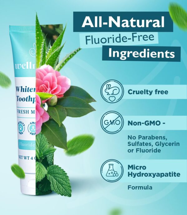 Wellnesse Whitening Hydroxyapatite Toothpaste with Xylitol - Remineralizing and Sensitivity Relief - Fluoride Free Toothpaste with Natural Ingredients - Remineralization Natural Toothpaste - Image 3