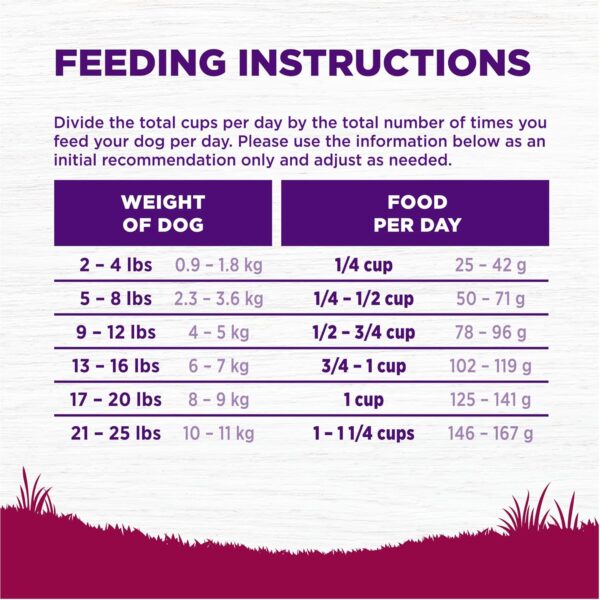Wellness Complete Health Small Breed Dry Dog Food with Grains, Natural Ingredients, Made in USA with Real Turkey, For Dogs Up to 25 lbs. (Senior, Turkey & Peas, 4-Pound Bag) - Image 8